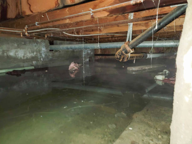 Best Commercial Water Damage Restoration in Hurricane, UT